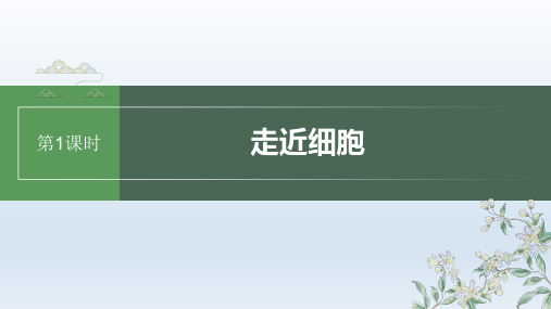 人教版2024届高考生物一轮复习走近细胞课件教学课件