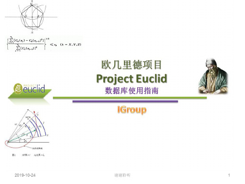 欧几里德项目数据库使用指南.pptx