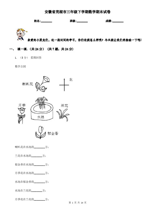 安徽省芜湖市三年级下学期数学期末试卷