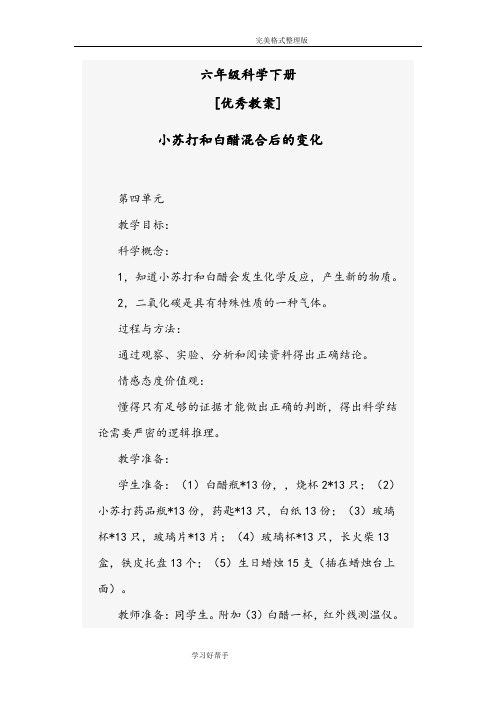 小苏打和白醋混合后的变化