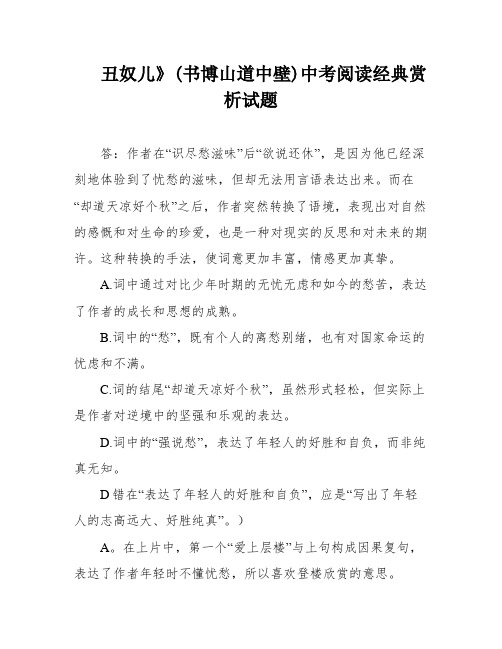 丑奴儿》(书博山道中壁)中考阅读经典赏析试题