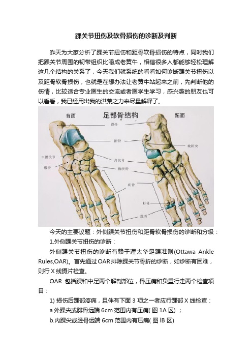 踝关节扭伤及软骨损伤的诊断及判断