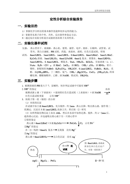 定性分析综合实验报告