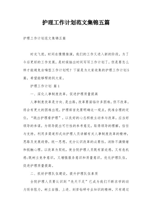 护理工作计划范文集锦五篇