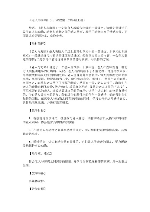 最新《老人与海鸥》公开课教案(六年级上册)(精品)