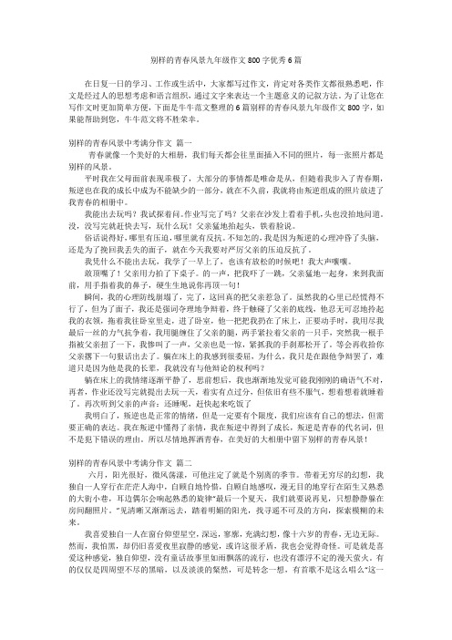 别样的青春风景九年级作文800字优秀6篇