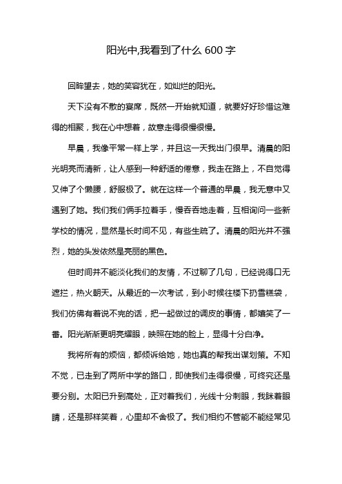 阳光中,我看到了什么600字