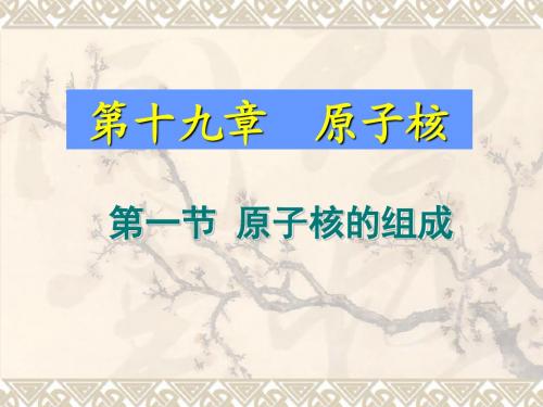 19.1原子核的组成精品课件