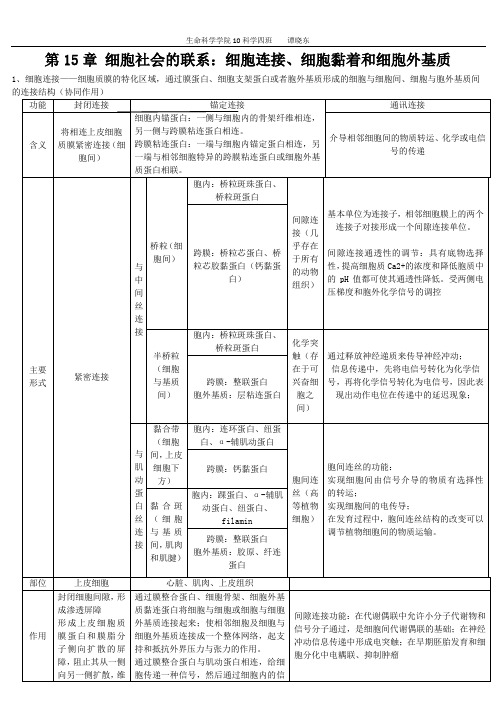 15细胞社会的联系