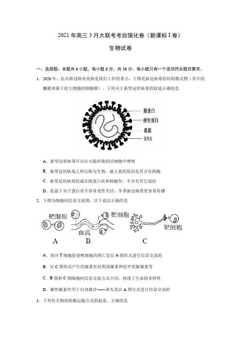 2021年高三3月大联考考后强化卷(新课标I卷)生物试卷、答案及评分标准