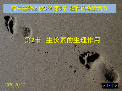 3-3.2 生物必修3课堂教学课件—生长素的生理作用