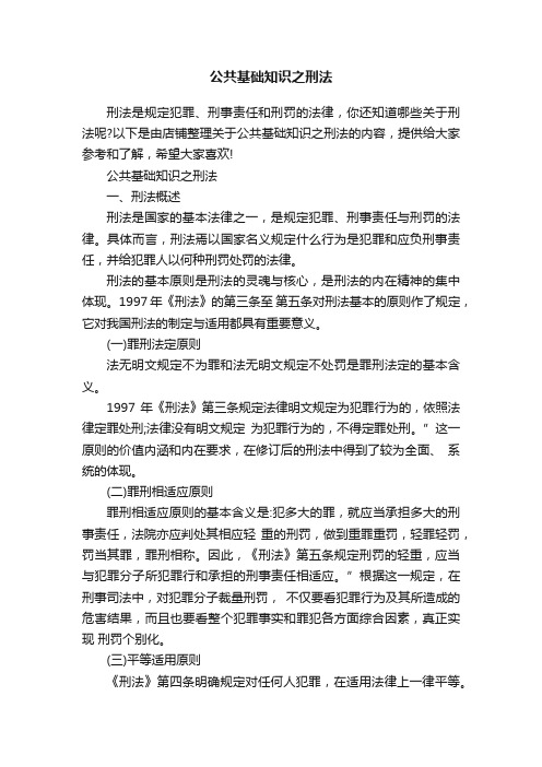 公共基础知识之刑法