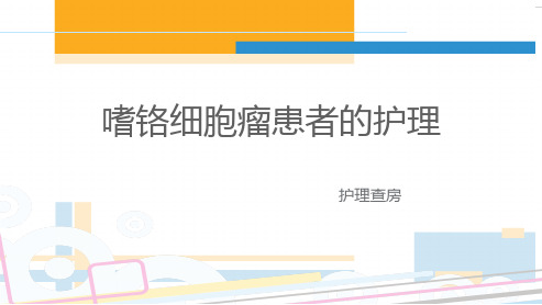 嗜铬细胞瘤患者的护理  ppt课件