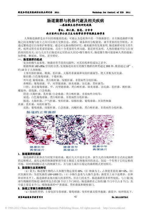 肠道菌群与机体代谢及相关疾病_感染微生态学的研究进展