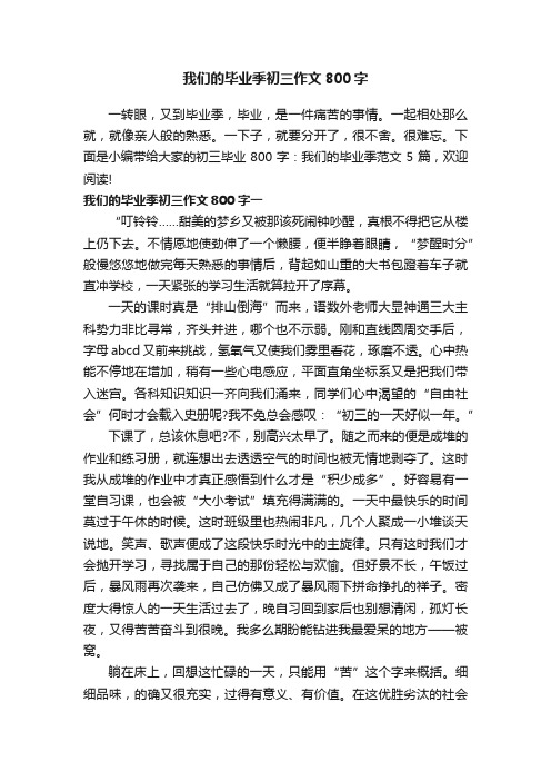 我们的毕业季初三作文800字