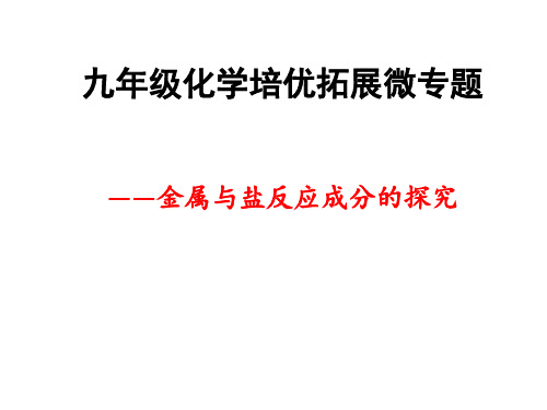 专题6  九年级化学培优拓展微专题——金属与盐反应成分的探究精讲(课件)