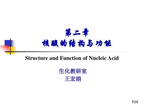 核酸的结构与功能