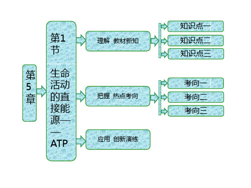 高中生物必修一第5章《细胞的能量代谢》精选教学PPT课件(4北师大份)(1)