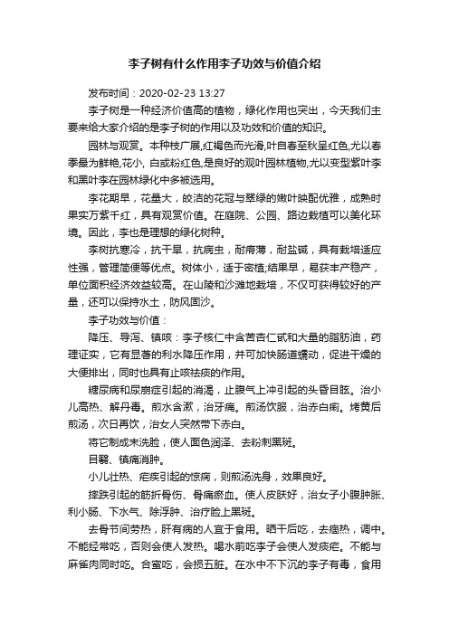 李子树有什么作用李子功效与价值介绍