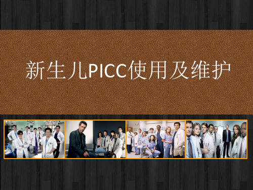 新生儿PICC介绍及维护 PPT