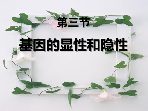 7.基因的显性和隐性课件(人教版生物)