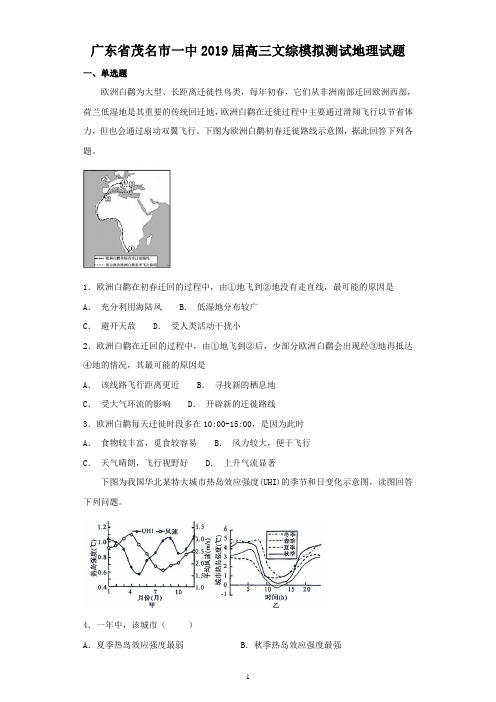 广东省茂名市一中2019届高三文综模拟测试地理试题及答案(WORD版)