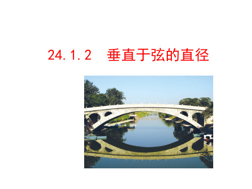 241.2垂直于弦的直径精品PPT课件