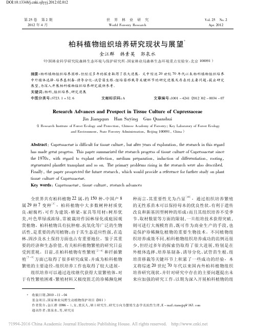 柏科植物组织培养研究现状与展望_金江群