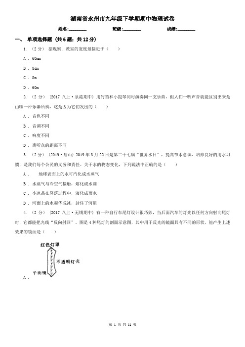 湖南省永州市九年级下学期期中物理试卷