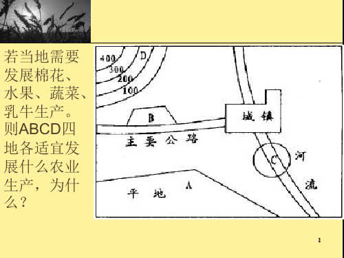 第三章第一节 农业的区位选择PPT课件