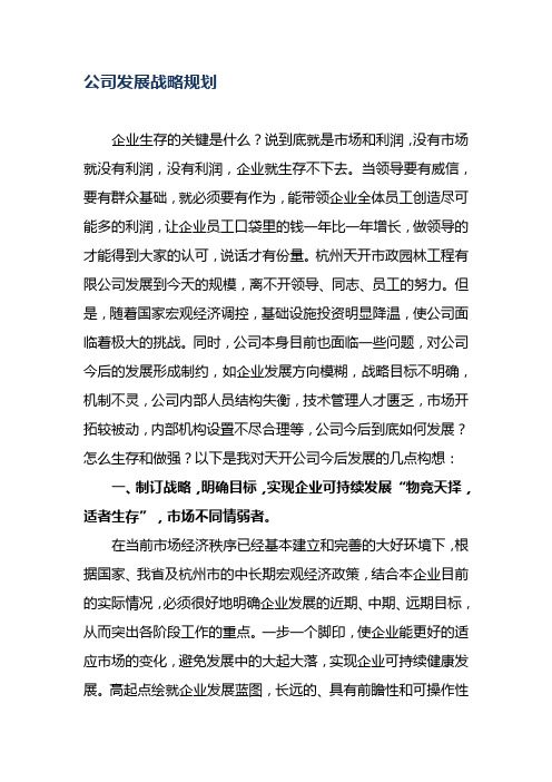 公司发展战略与规划