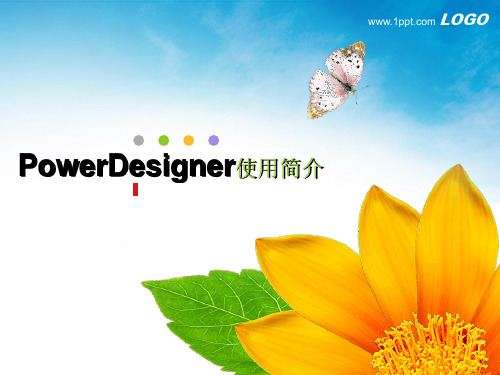 PowerDesigner教程PPT