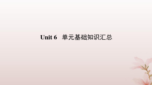 新教材2023版高中英语Unit6单元基础知识汇总课件外研版选择性必修第四册