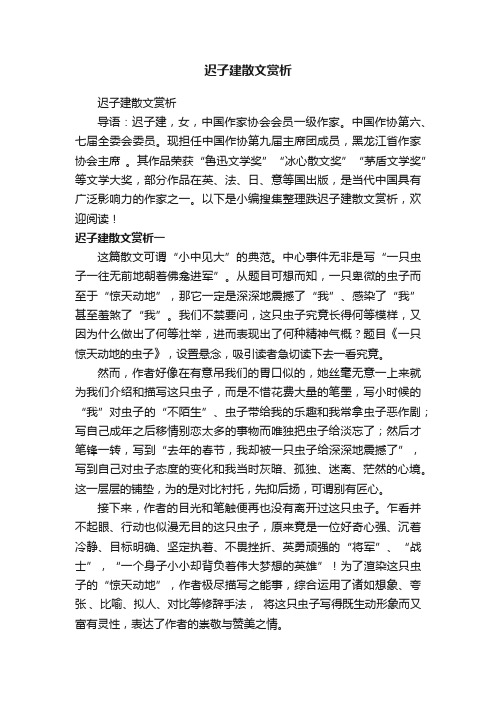 迟子建散文赏析