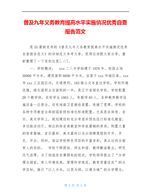 普及九年义务教育提高水平实施情况优秀自查报告范文