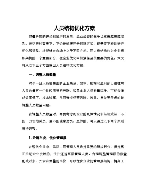 人员结构优化方案