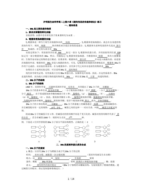 沪科版生命科学高二上第六章《遗传信息的传递和表达》练习