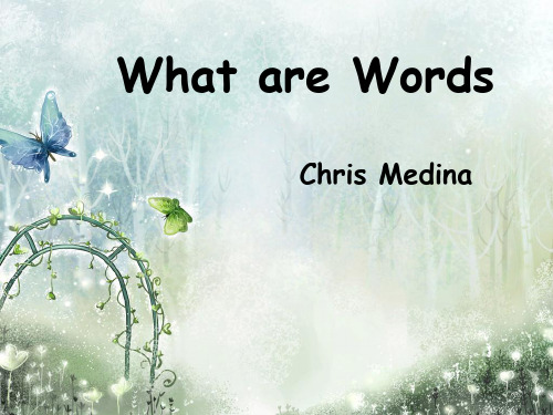 英文歌曲赏析what are words-5