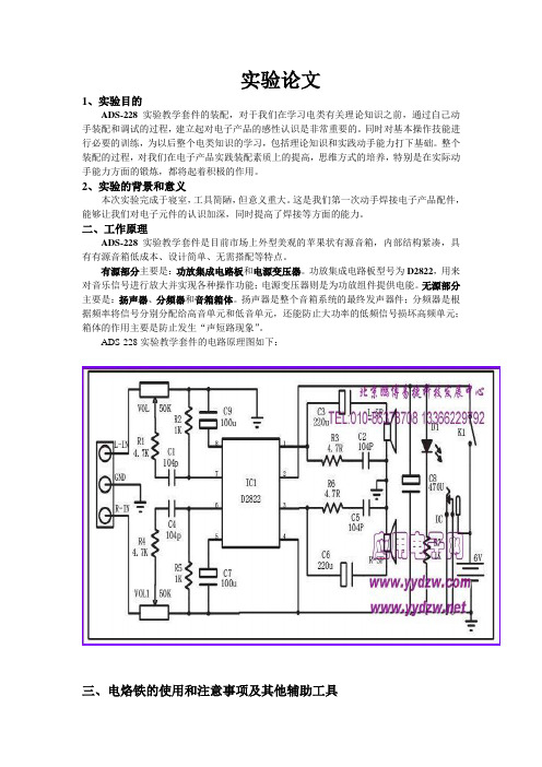 自制迷你苹果音箱论文