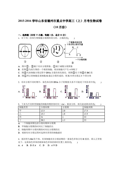 山东省德州市重点中学2016届高三上学期月考生物试卷(10月份)含解析