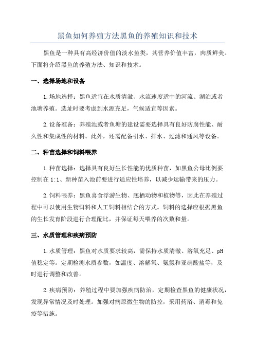 黑鱼如何养殖方法黑鱼的养殖知识和技术