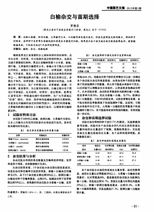 白榆杂交与苗期选择