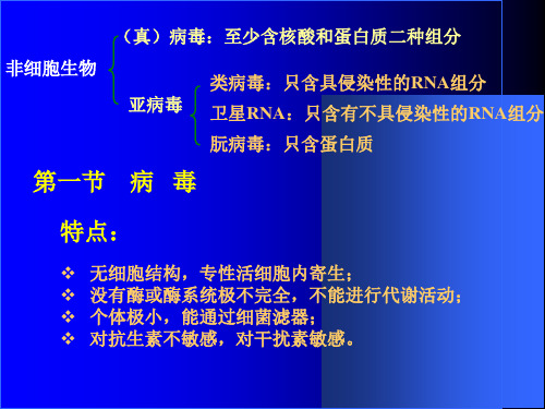 三章病毒和亚病毒