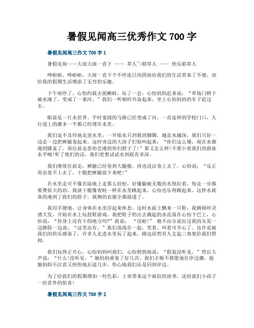 暑假见闻高三优秀作文700字