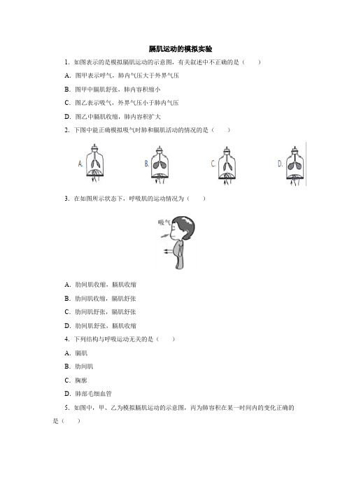 初中生物实验突破(通用版)：膈肌运动的模拟实验课后作业