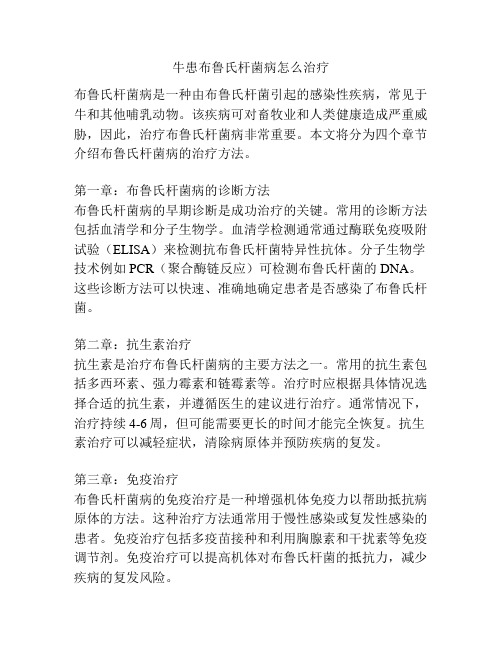 牛患布鲁氏杆菌病怎么治疗