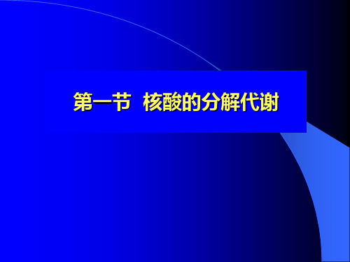 核苷酸代谢及DNA的生物合成PPT幻灯片