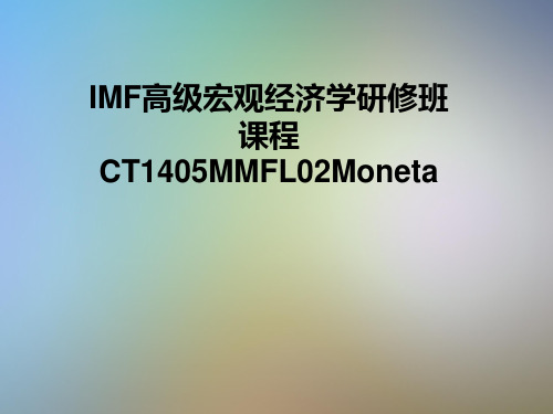 IMF高级宏观经济学研修班课程CT1405MMFL02Moneta