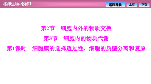 2019-2020学年北师大版高中生物必修1课件：第4章  第2节 细胞膜的选择透过性、细胞的质壁分离和复原