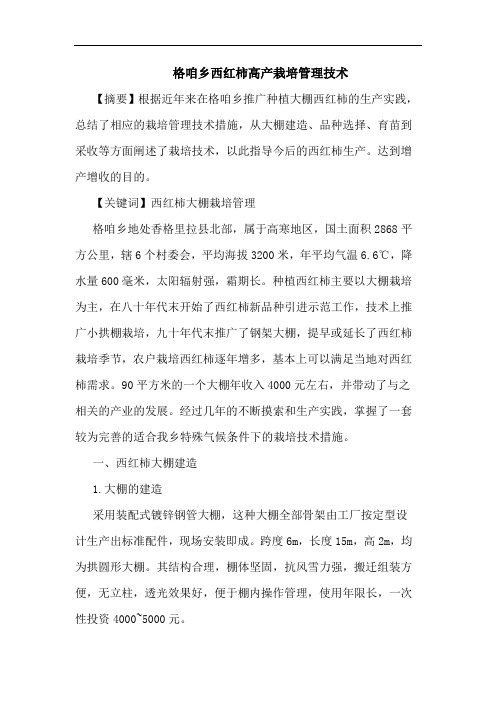 格咱乡西红柿高产栽培管理技术